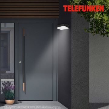 Telefunken 312205TF - LED Venkovní nástěnné svítidlo LED/14W/230V IP44