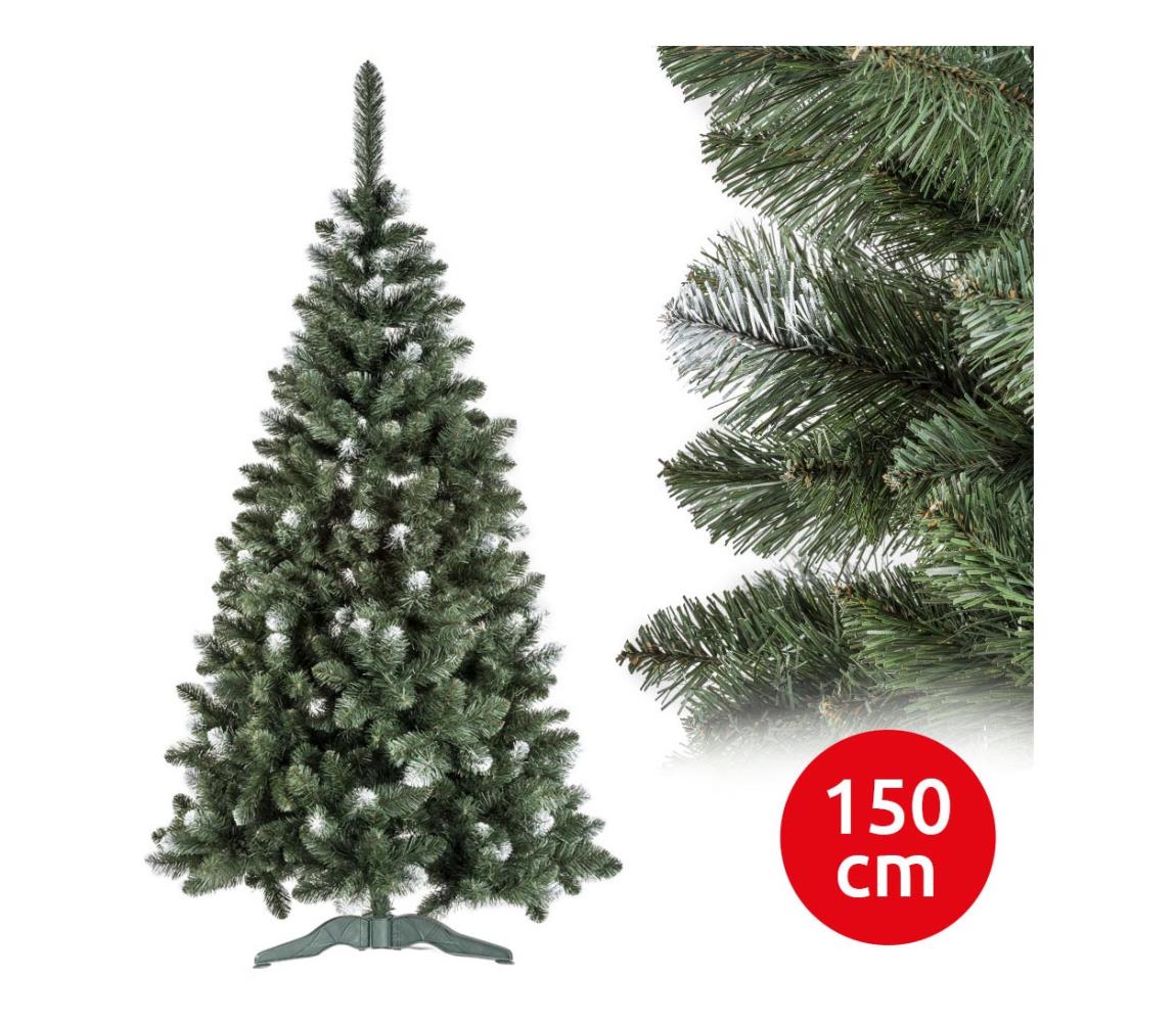  Vánoční stromek POLA 150 cm borovice 