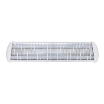 Voltolux - LED Zářivkové svítidlo MODERN 2xLED/12W/230V