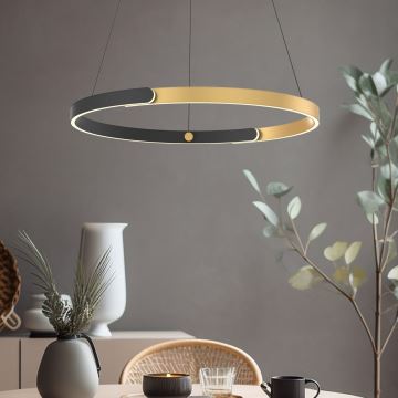 Zuma Line - LED Stmívatelný lustr na lanku LED/30W/230V černá/zlatá